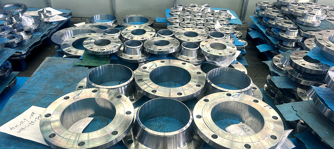 Stainless steel forged flanges